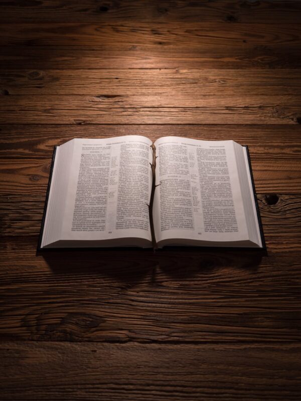 an opened bible with a stick with thorns lying on a wooden background